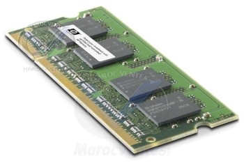 Module de mémoire SDRAM DDR II 1 Go (667 MHz)