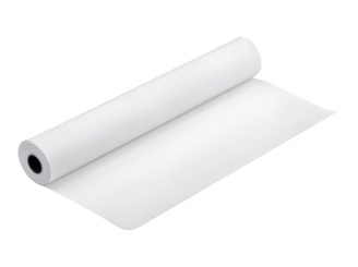 Papier Proofing Blanc Semi-Mat 256g 24" (0,610x30,5m) C13S042004