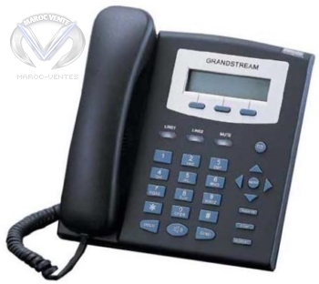 Téléphone IP 2 lignes avec 2 ports Ethernet 10Base-T et 100Base-TX