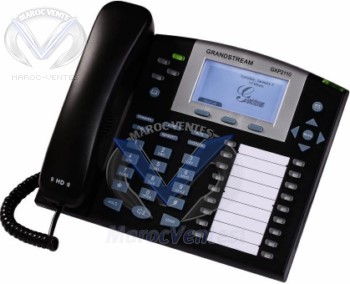 Téléphone VoIP 4 lignes 2 ports Ethernet 10Base-T/100Base-TX GXP2010