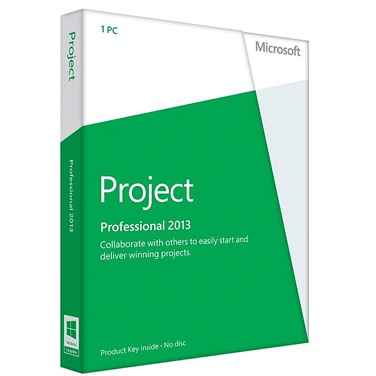 MS PrjctPro 2013 SNGL OLP NL w1PrjctSvrCAL