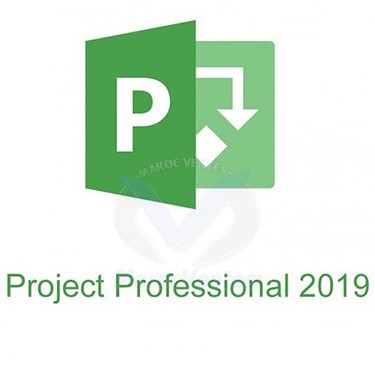 Project Professionel 2019 ESD Multi-Langues