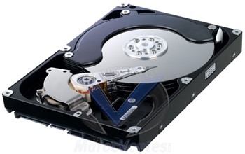 Disque dur interne HD103SJ