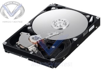 Disque Dur Interne 3,5" - 320 Go HD321HJ