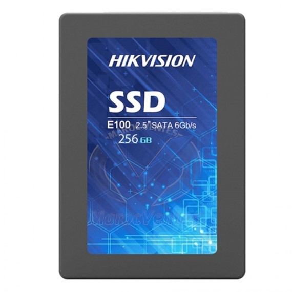 Disque dur interne E100 256Go SSD HS-SSD-E100/256G