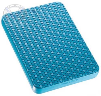 Disque dur externe 250 Go 2.5"