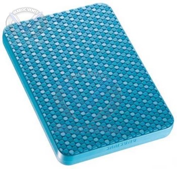 Disque dur externe 250 Go 2.5" HX-MU025DC/GL2