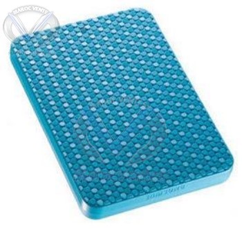 Disque dur Externe G2 portable 2,5