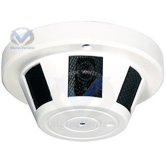 CAMERA CACHEE COULEUR TYPE FUMEE 1/3" SONY CCD 420TVL/0,8 LUX/3.6MM I611