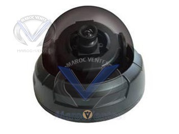 Flexible 3-axis Bracket Mini Dome Camera with 540TVL