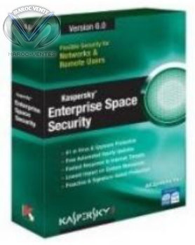 Licence d'abonnement Enterprise Space Security Niveau M ( 15-19 )