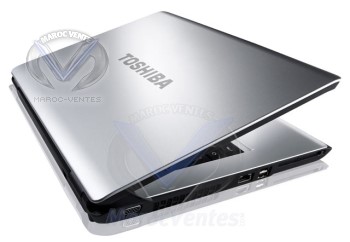 Ordinateur portable L300-1DN