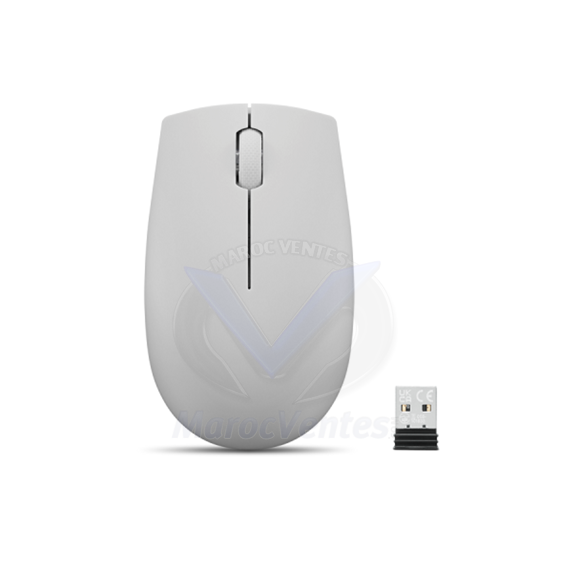 Souris sans fil Lenovo 300 (Cloud Grey) GY51L15677