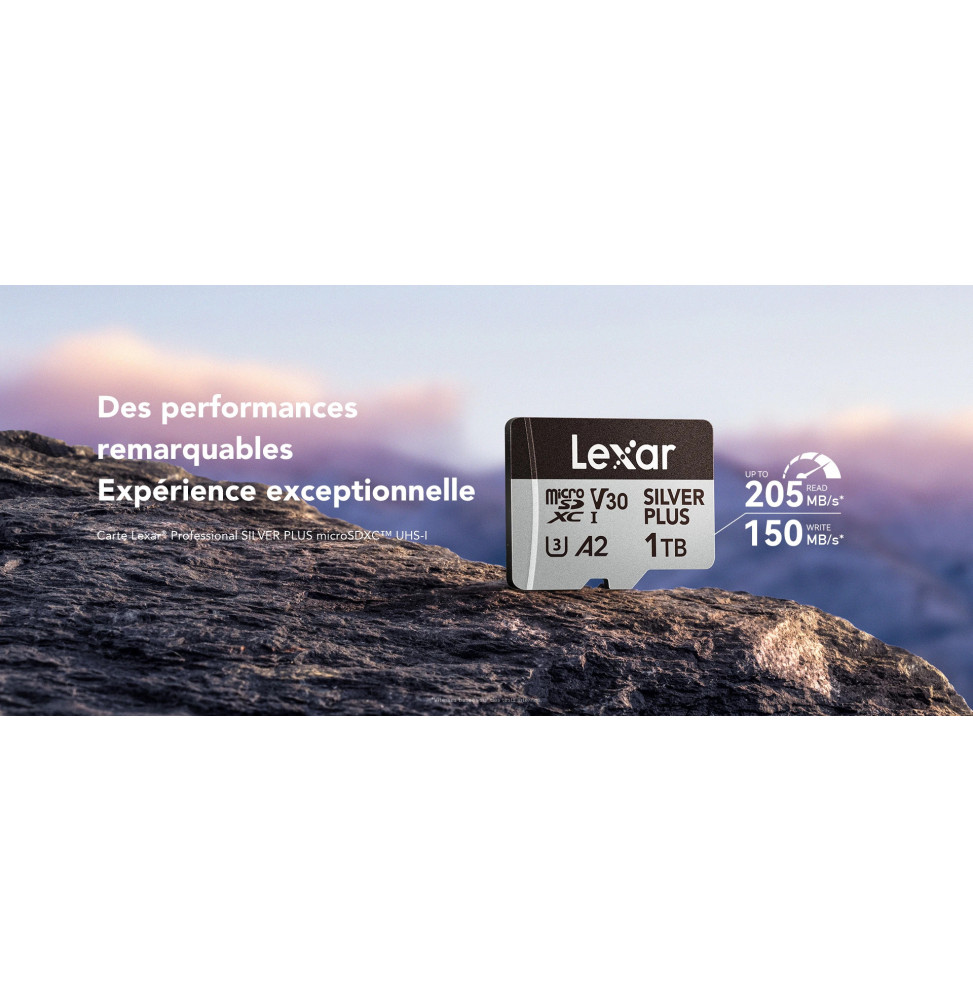 Carte SD MS Silver Plus 128GB Professional microSDXC UHS-I