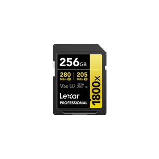 Carte SD SD1800X 256GB Professional