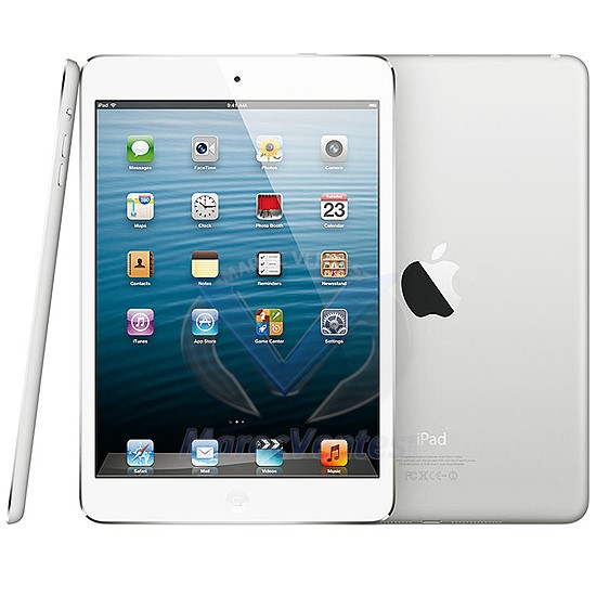 iPad mini -  Wi-Fi / Cellular (16Go, 32 Go, 64 Go )-Blanc & argenté /  Noir & ardoise MD540NF