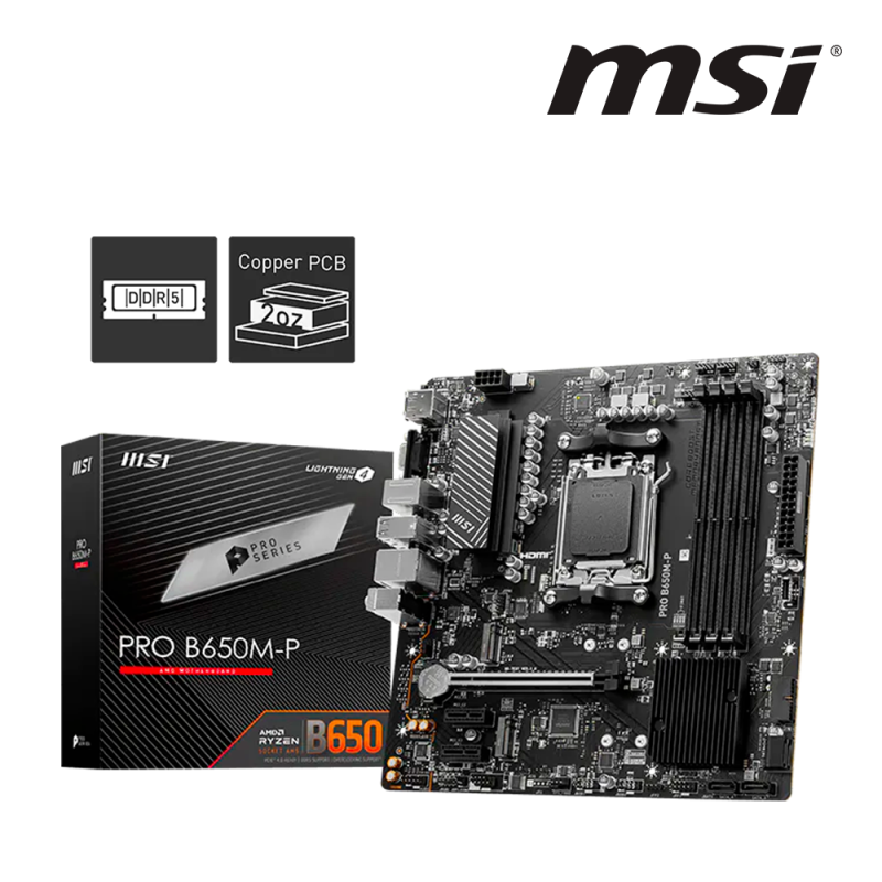 Carte Mère PRO B650M-P