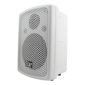 Haut-Parleur MASTER MA-2908 MA-2908