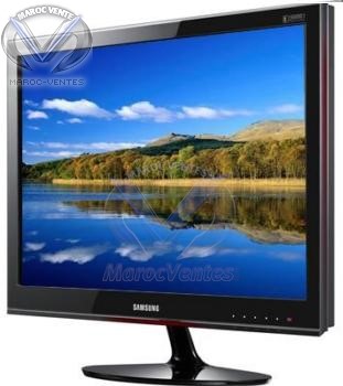 Moniteur LCD Large 20" P2050