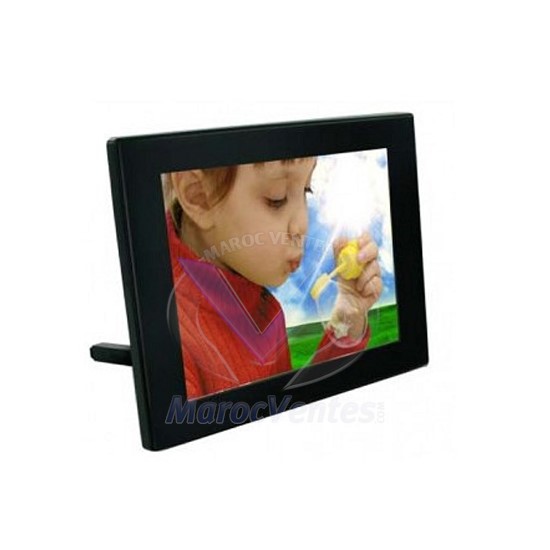 PARROT BY GRANDE SPECCHIO PHOTO FRAME-PARROT BY GRANDE SPECCHIO PHOTO FRAME