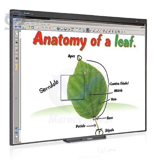 Tableau Blanc Interactif 77" Sans Plumier SB480