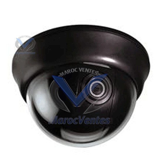 Caméra 1/4 "SONY CCD 420 TVL SE-CD110GW