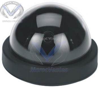 CAMERA COLOR 1/3" CCD 420 TV LINES 0.5 LUX SP-2163