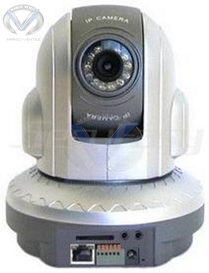 Camera de surveillance Pan/Tilt, Day/Night 12IR