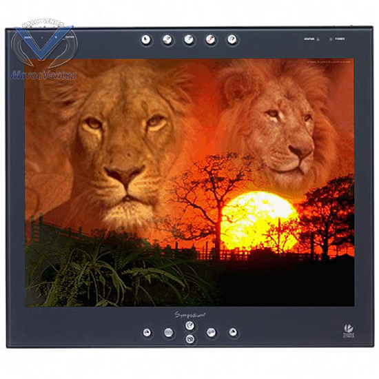 Ecran  stylet interactif 15"