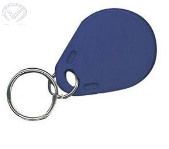 Tags sans contact gardien 125 KHz