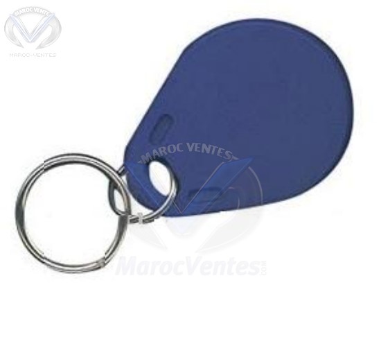 Tags sans contact gardien 125 KHz T10C