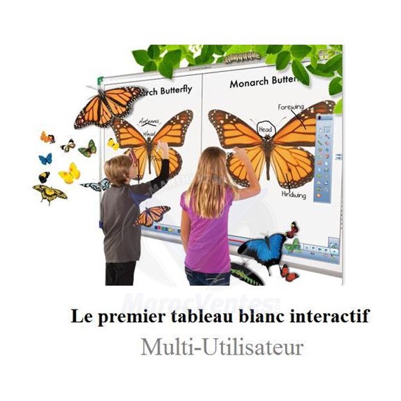 TABLEAU BLANC INTERACTIF 79" (Interwrite) TBI79
