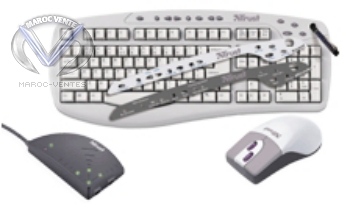 CLAVIER ET SOURIS SANS FIL 300KD