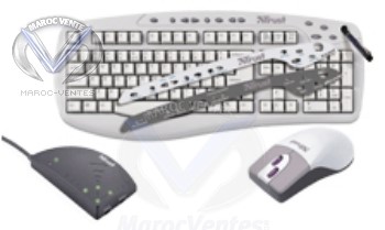 CLAVIER ET SOURIS SANS FIL 300KD TR-12759