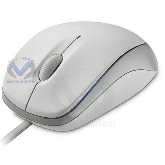 Compact Opt Mse Mac/Win USB Port EN/AR/ES/IT/PT Hdwr White-Compact Opt Mse Mac/Win USB Port EN/AR/ES/IT/PT Hdwr White