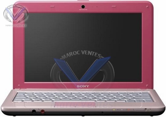 Netbook couleur rose avec écran 10" avec webcam VPC-M12M1EP/P