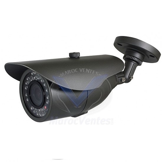 Camera Exterieur Couleur 1/3 "SONY 480TVL VTCG36SE