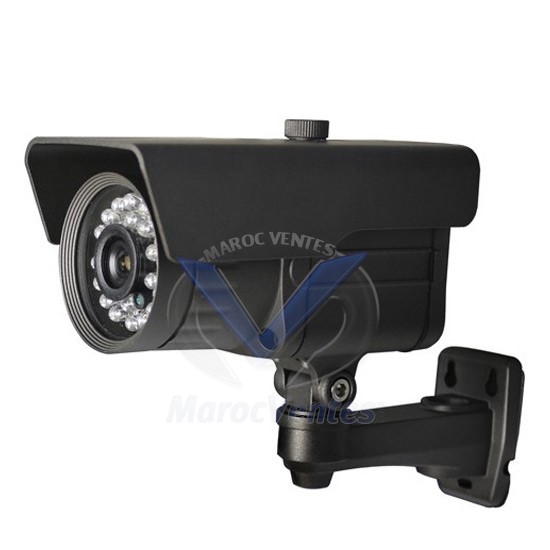 Camera Exterieur Color 1/3" SONY 700TVL VTE40SHE