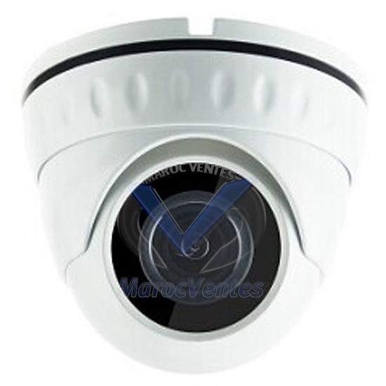 CAMERA DOME INTERIEUR FIXE 4 MEGAPIXEL 3.6MM VTRDN310PS