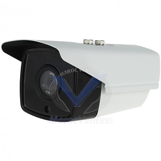 Caméra Bullet Extérieur Fixe 3 MEGAPIXEL 1080P VTW60200NA