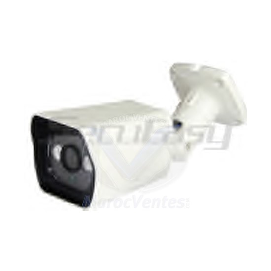 Camera Outdoor Color Aluminium1/3" HD DIGITAL 900 TVL D1818
