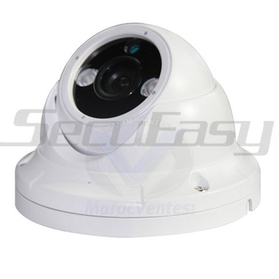 Camera Dome Couleur Aluminium1/3" HD digital sensor 900 TVL D1821