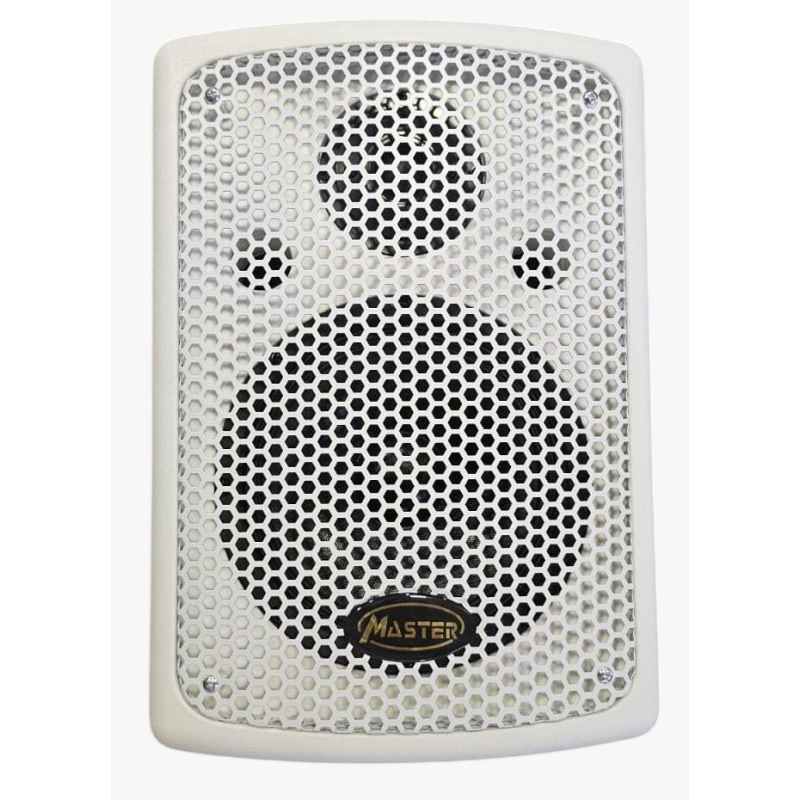 Haut-Parleur MASTER MA-2908